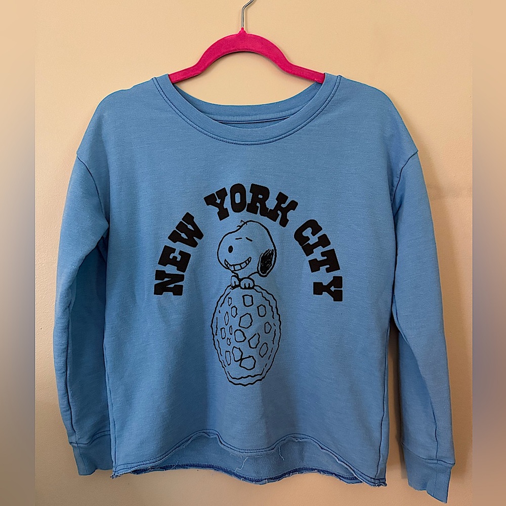 Mighty Fine x Peanuts Snoopy New York City Pizza Blue Raglan Sweatshirt Small